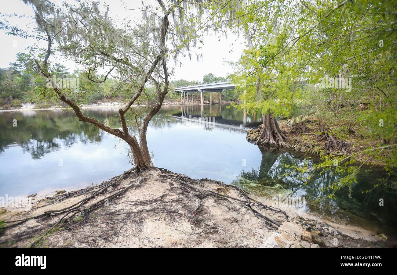 BRANFORD, FLORIDA, UNITED STATES - Oct 20, 2018: The waters of Branford Springs flow into the larger Suwannee River in the town of Branford. Stock Photo