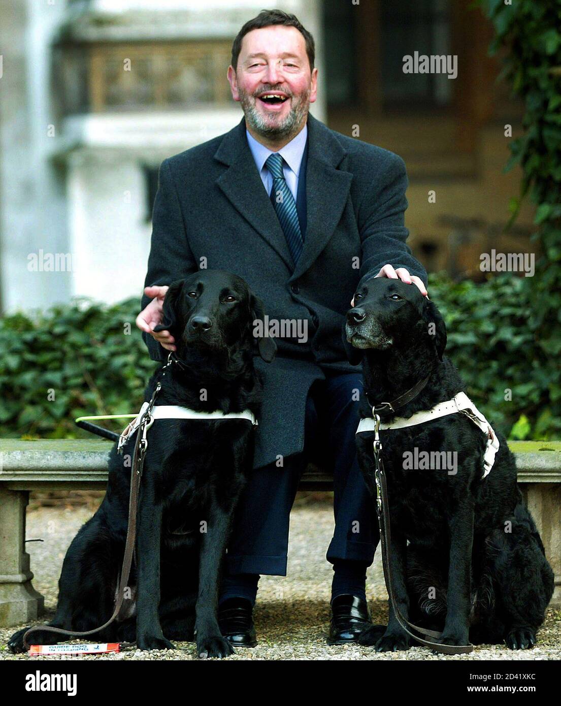 Home Secretary David Blunkett With His Guide Dog Lucy High Resolution Stock Photography And Images Alamy