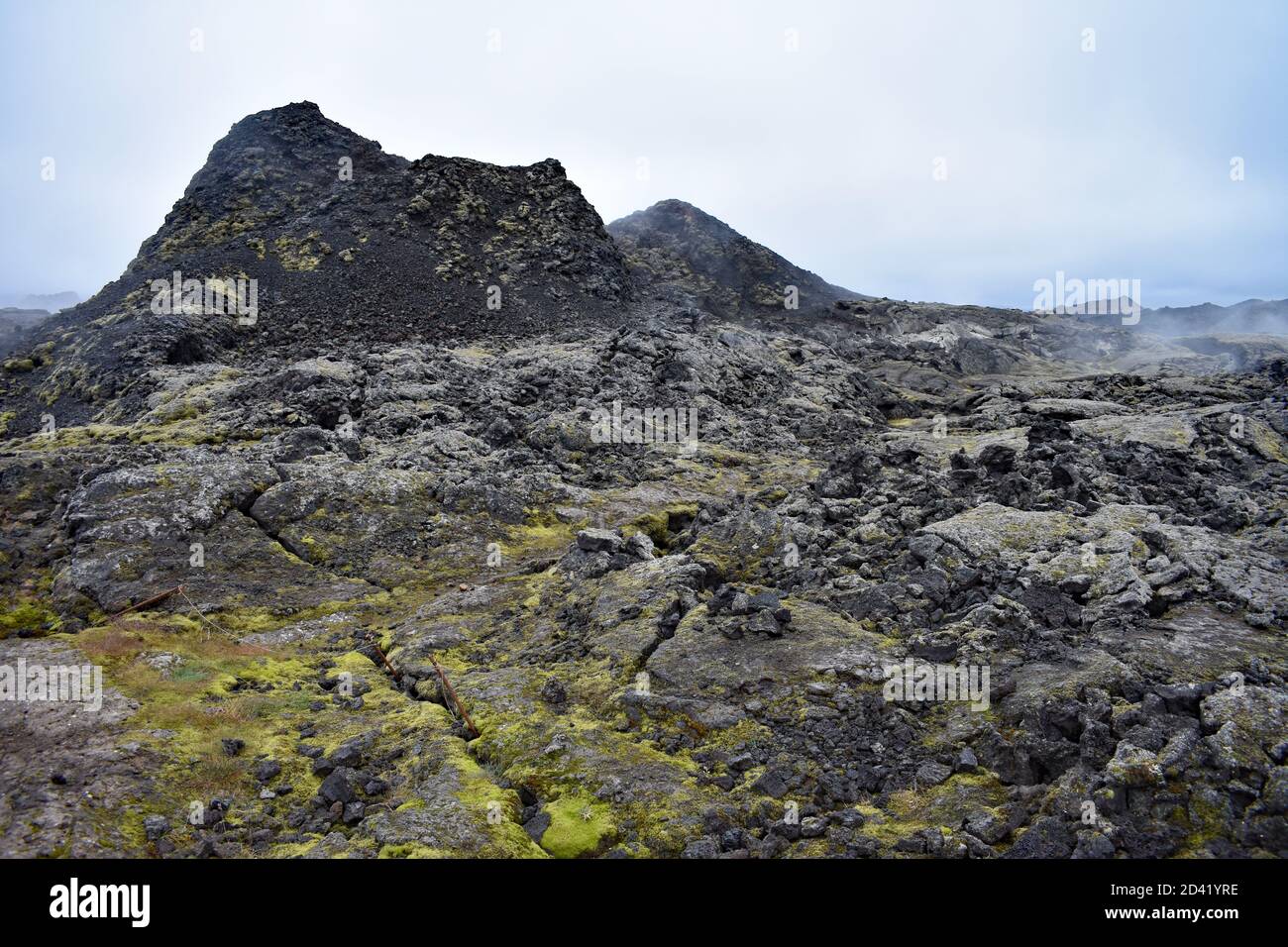 Steam rises from the ground in the Krafla Lava Fields in the Lake Myvatn Area in North Iceland.  Green moss covers the black volcanic rock. Stock Photo