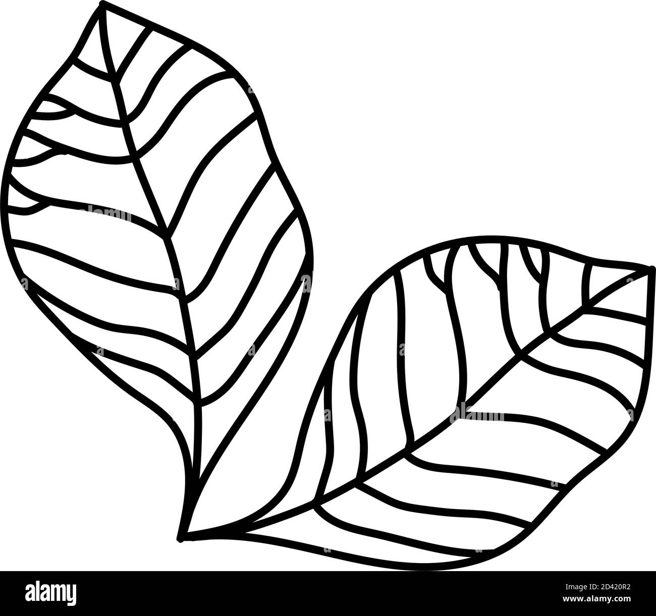 two leaves line style icon design of Natural floral nature and plant ...