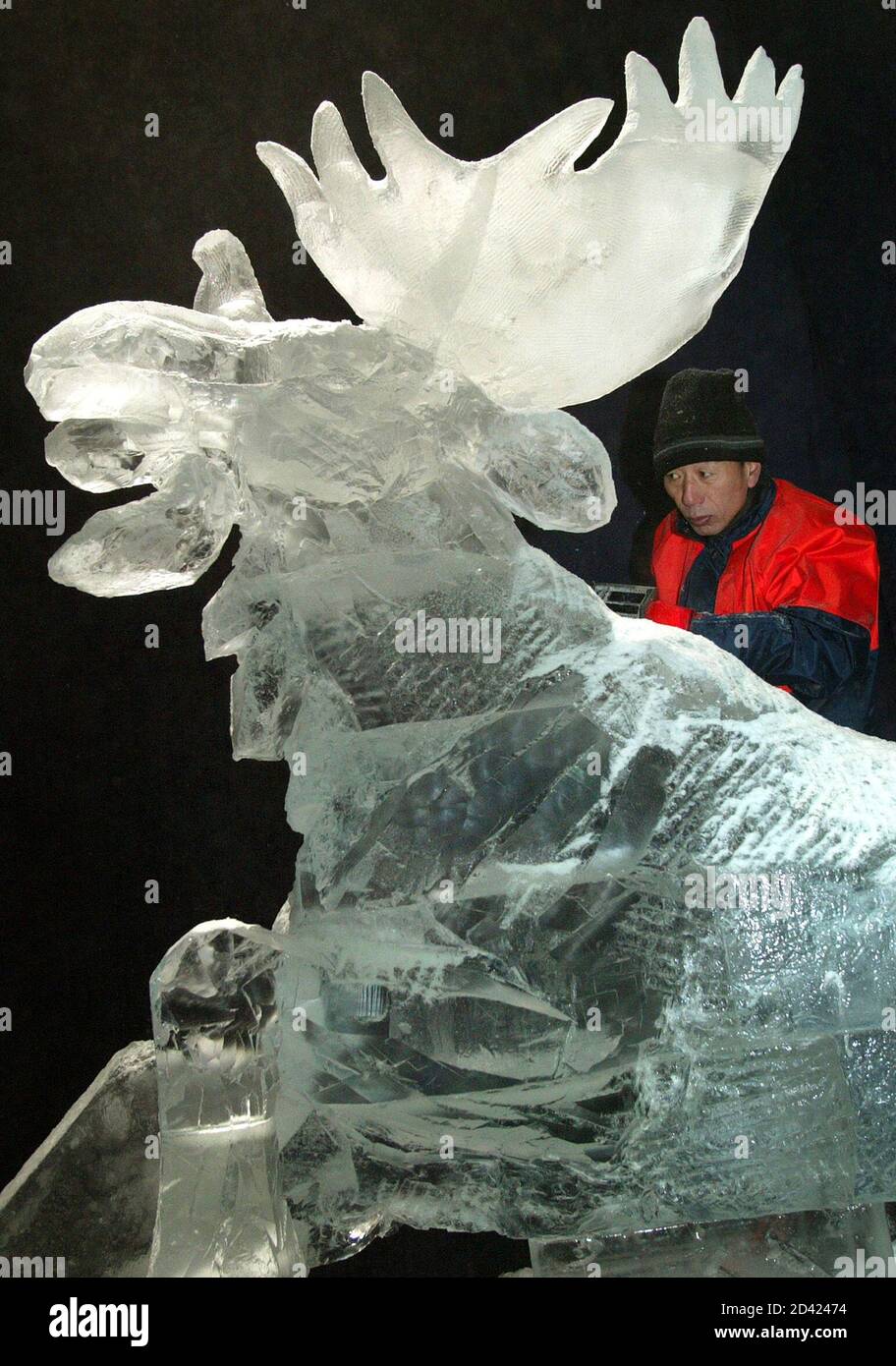 Chinas Li Chengdong Carves On His Ice Sculpture Tiger And Caribou During Iceart 04 World Championships In Luebeck Team Chinas Li Chengdong Carves On His Ice Sculpture Tiger And Caribou During The