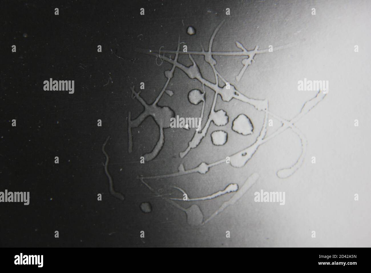 Fine 1970s vintage black and white photography of a pure abstract ...