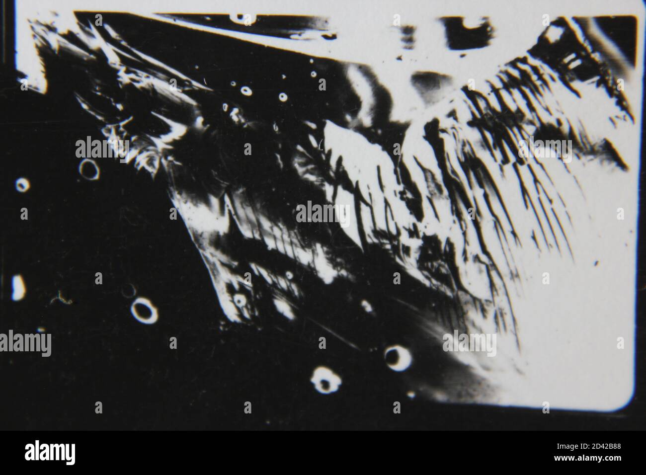 Fine 1970s vintage black and white photography of a pure abstract ...