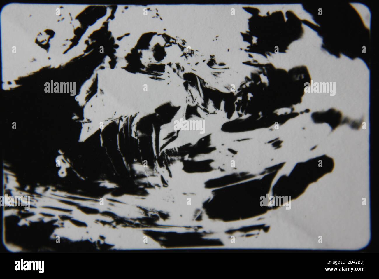 Fine 1970s vintage black and white photography of a pure abstract ...