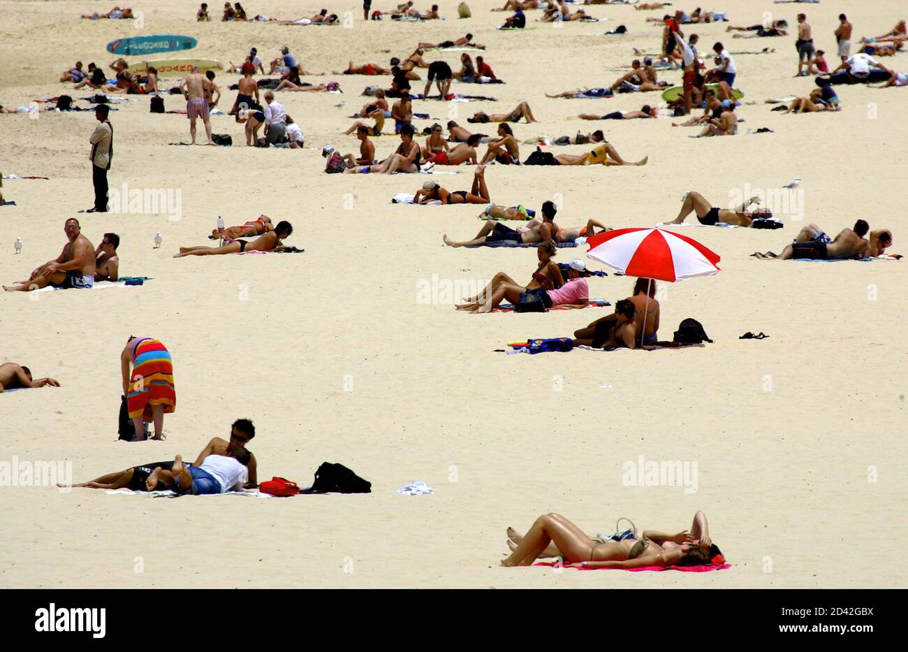 Sunbathers enjoy the sunny weather at Sydney's Bondi Beach, December 10, 2004. It is the enduring postcard image of Australia - young, fit, bronzed Aussies soaking up the endless sun on one of the country's many unspoilt beaches. The reality however could be starkly different. Picture taken December 10, 2004. TO MATCH LIFE-AUSTRALIA-HEALTH REUTERS/David Gray  DG/CN Stock Photo