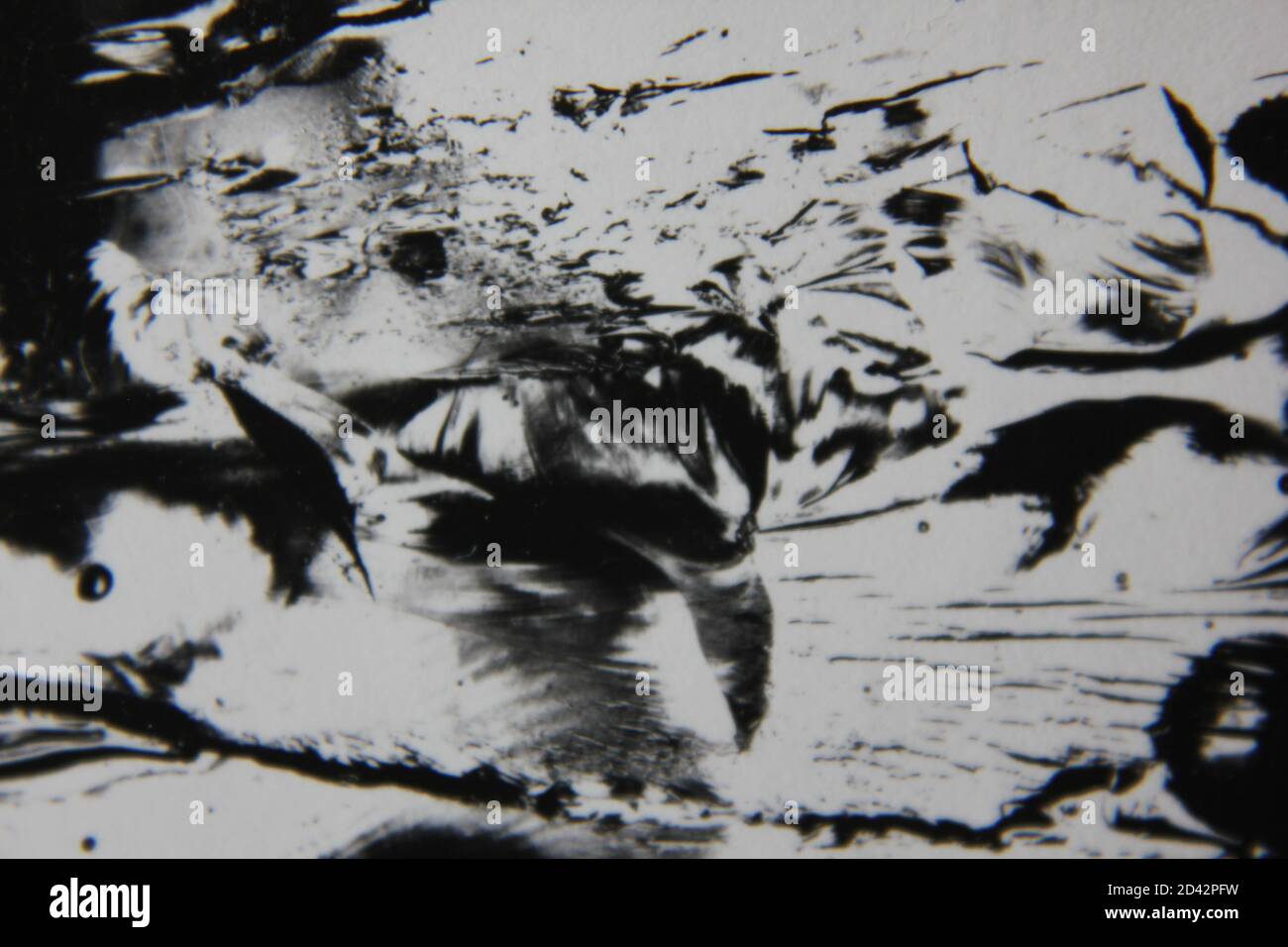 Fine 1970s vintage black and white photography of a pure abstract ...