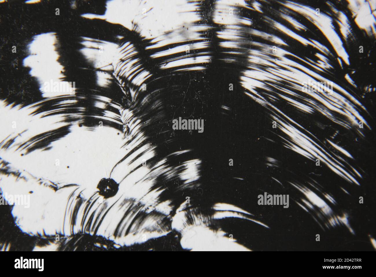Fine 1970s vintage black and white photography of a pure abstract ...