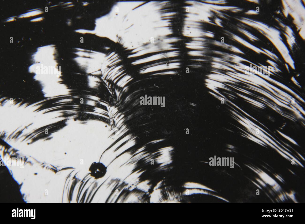 Fine 1970s vintage black and white photography of a pure abstract ...