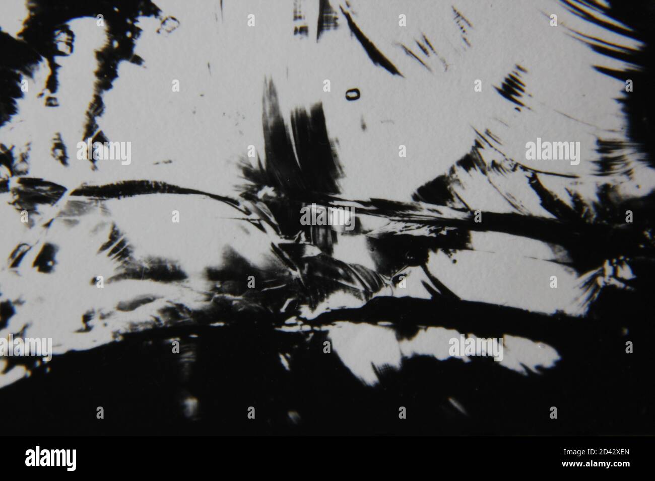 Fine 1970s vintage black and white photography of a pure abstract ...