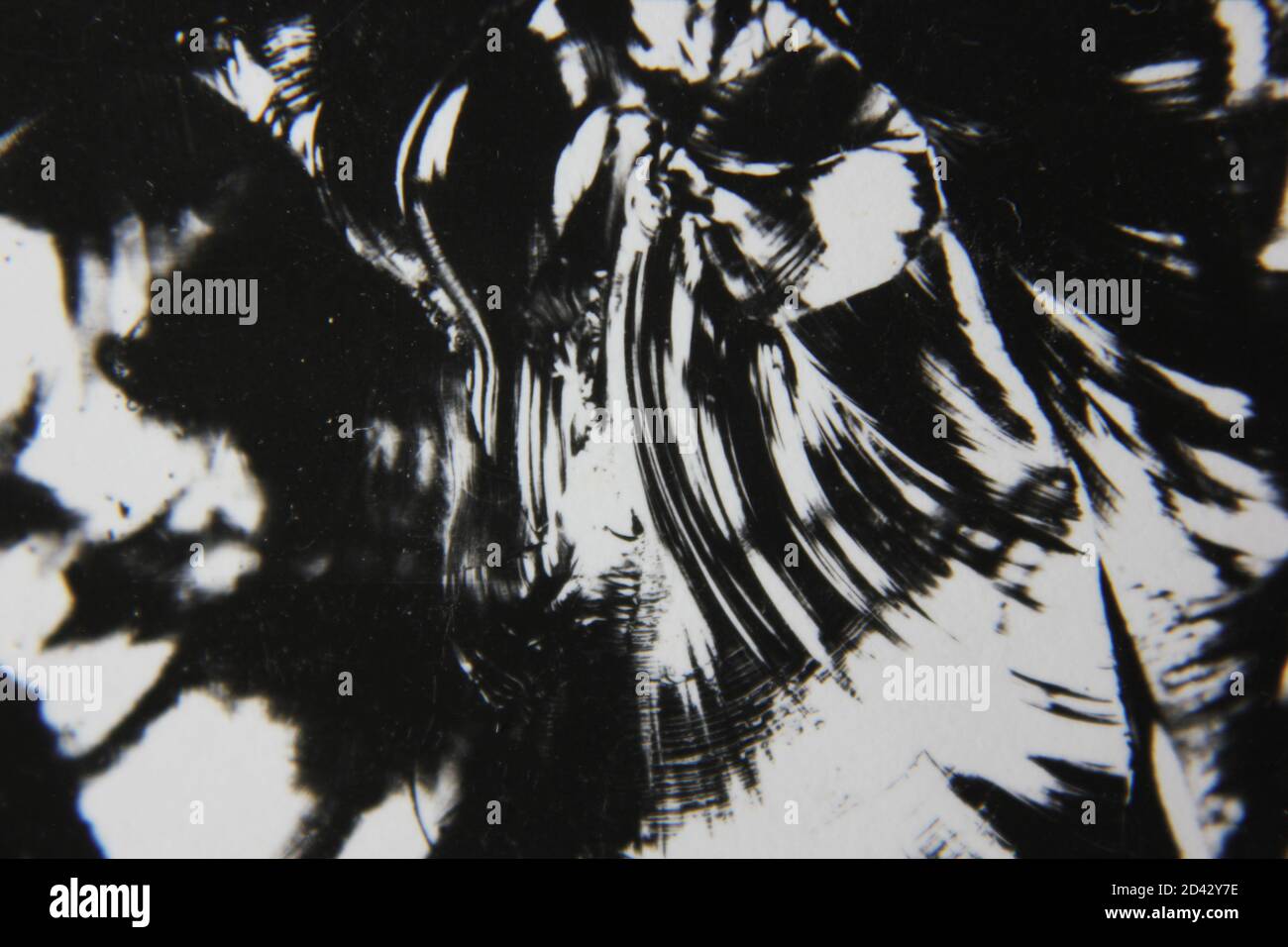 Fine 1970s vintage black and white photography of a pure abstract ...