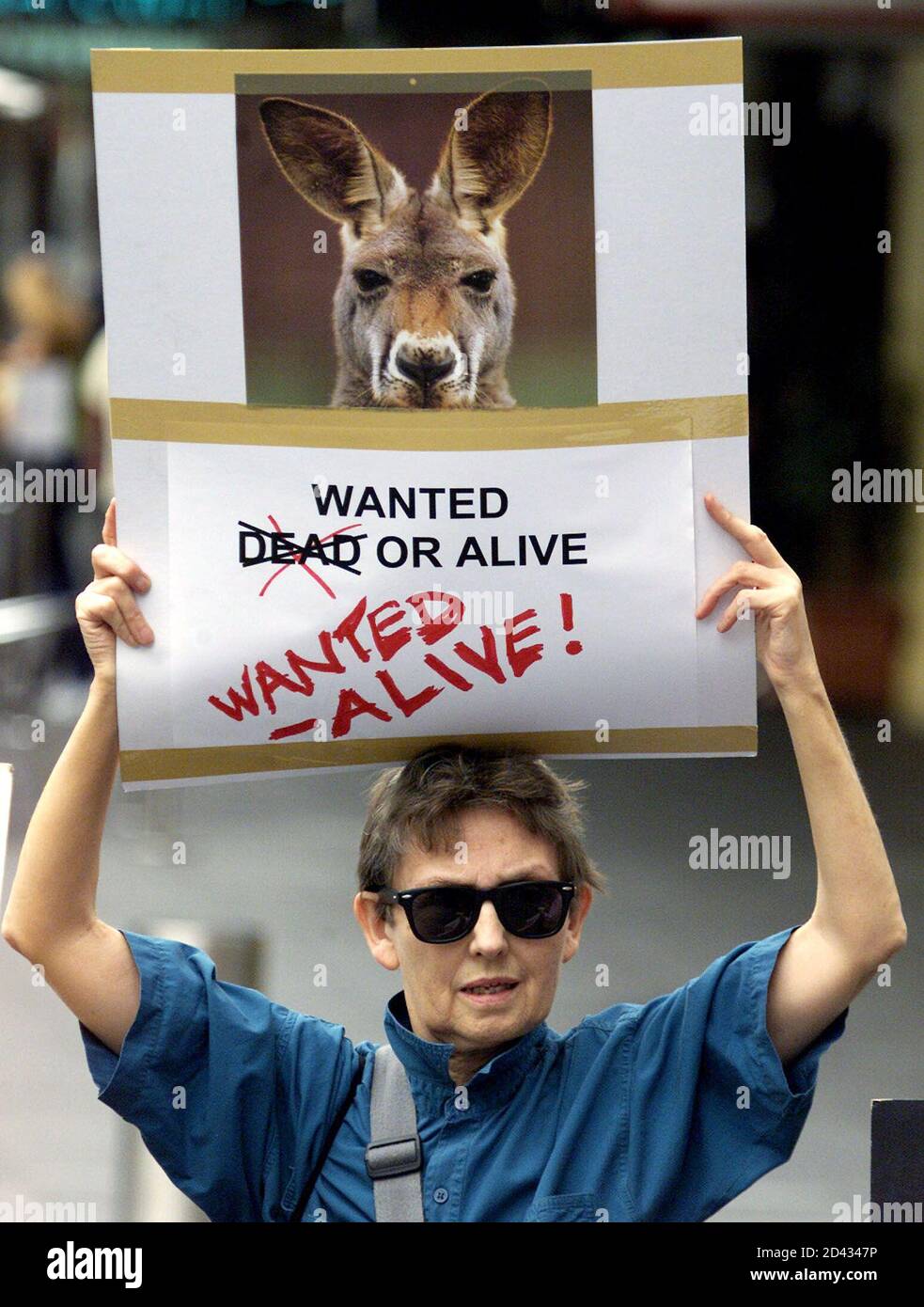 Animal rights activist Jo Bell of Sydney holds a placard featuring an Australian red kangaroo in Sydney March 31, 2001, during a protest by the World League for the Protection of Animals Animal rights activist Jo Bell of Sydney holds a placard featuring an Australian red kangaroo in Sydney March 31, 2001, during a protest by the World League for the Protection of Animals