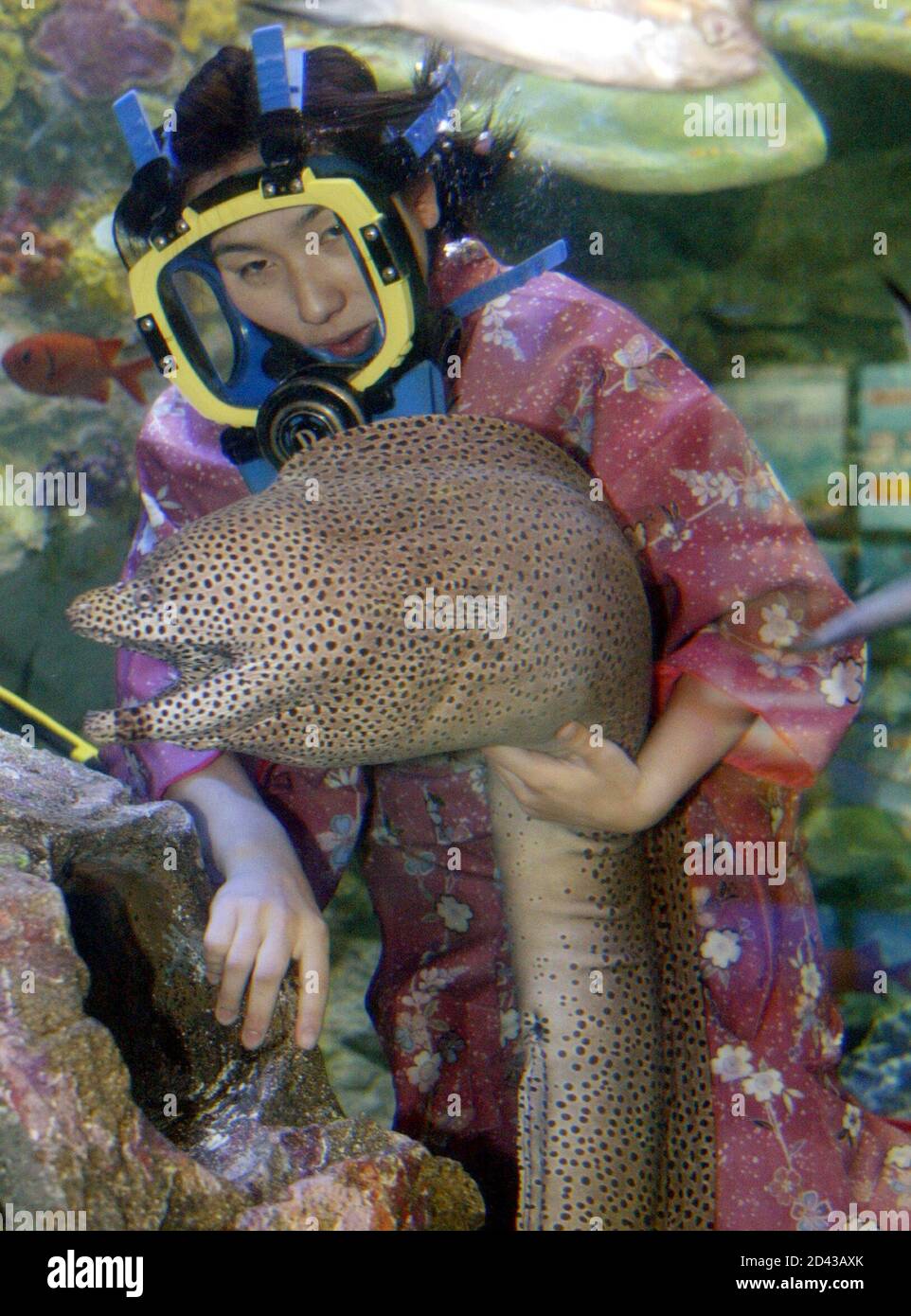 Sunshine Aquarium Tokyo Hi Res Stock Photography And Images Alamy Sunshine Aquarium Tokyo Hi Res Stock Photography And Images Alamy