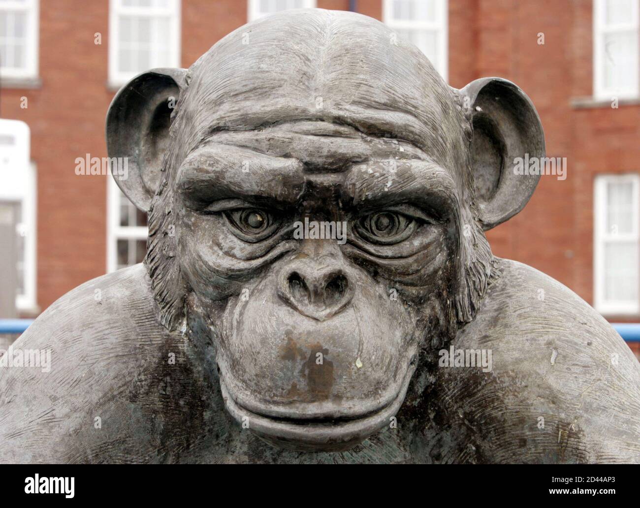 The Hartlepool Monkey High Resolution Stock Photography And Images - Alamy