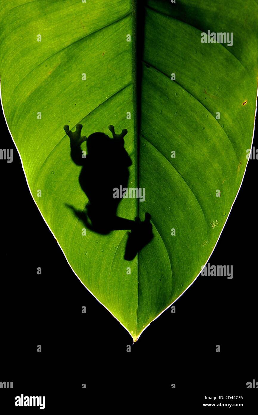 Pressure pads hires stock photography and images Alamy