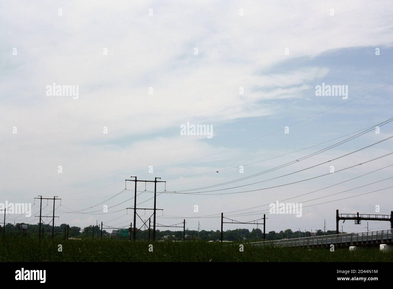 Landscape of telephone poles at the Russell W. Peterson Urban Wildlife Refuge in Wilmington, Delaware Stock Photo