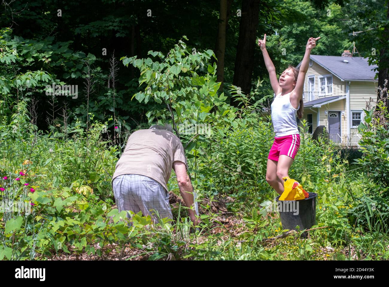 Grandpa plants a new red bud tree for earth day, and his partner grand daughter commands the powers to be to make it grow Stock Photo