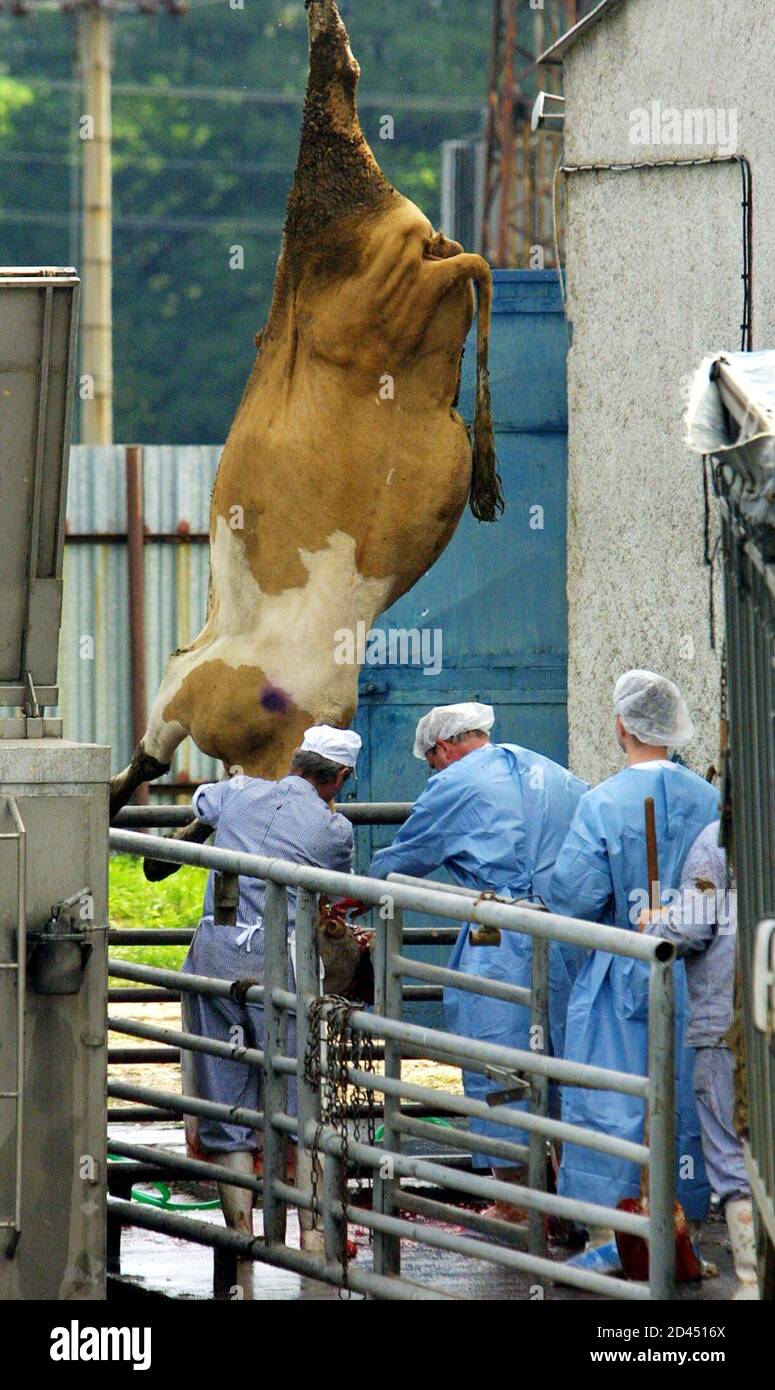 Brain Mad Cow Disease High Resolution Stock Photography And Images Alamy