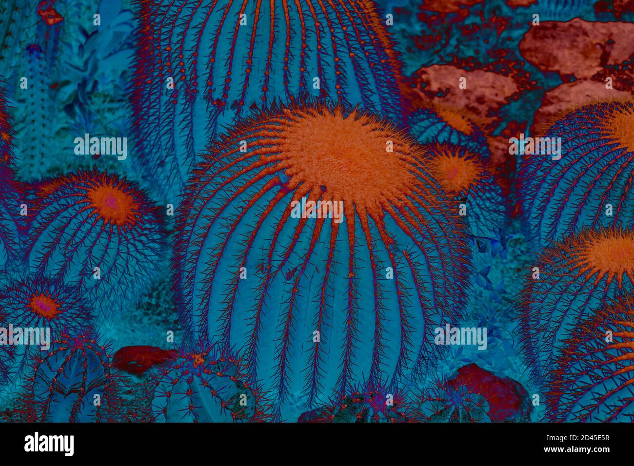 Abstract cactus texture background in blue and red Stock Photo