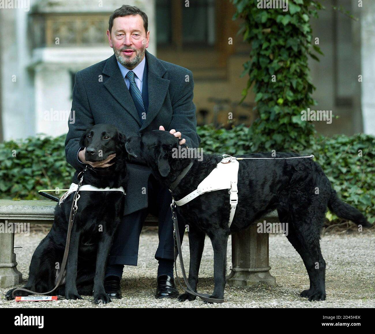 Britain S Home Secretary David Blunkett Introduces His New Guide Dog Sadie R To The Media In Westminster London January 24 2003 After Almost A Decade As His Constant Companion His Current Guide