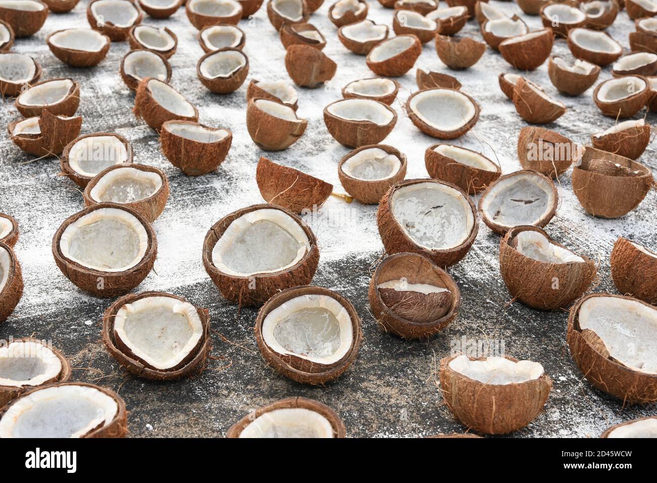Coconuts cut in half and whole coconuts. A lot or heap of fresh tasty