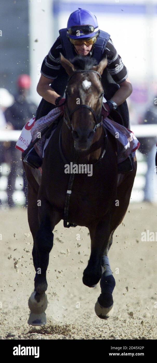 American horse racing hires stock photography and images Alamy