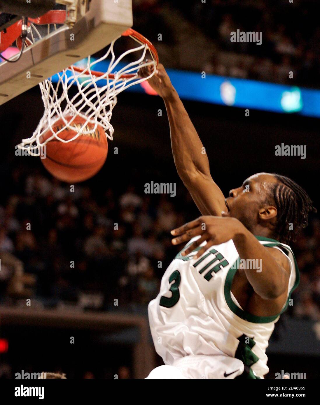 Withers curtis hi-res stock photography and images - Alamy