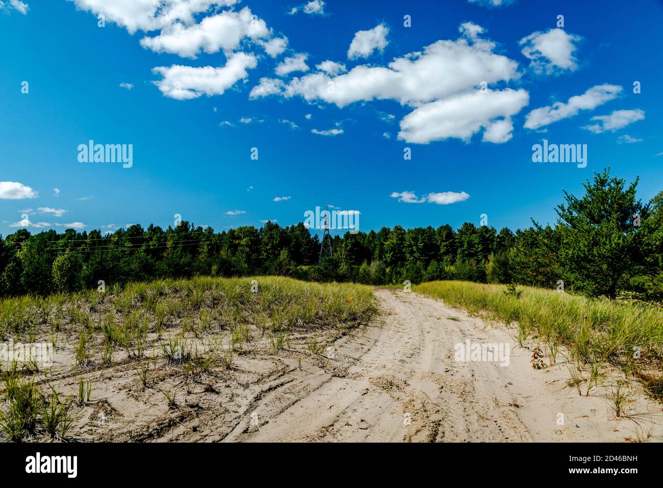 Reserves wildlife hi-res stock photography and images - Alamy