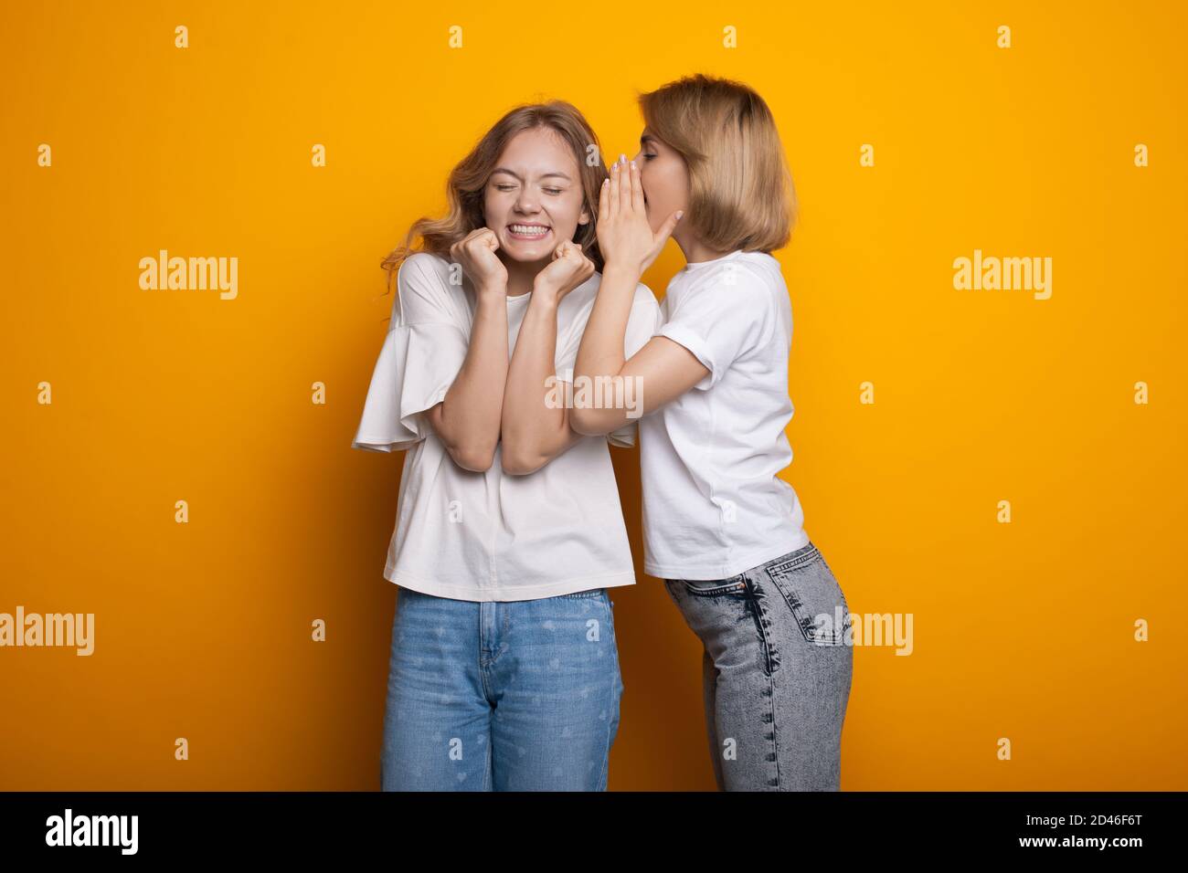 Blonde caucasian woman is whispering something to her friend posing in casual clothes on a yellow studio wall Stock Photo