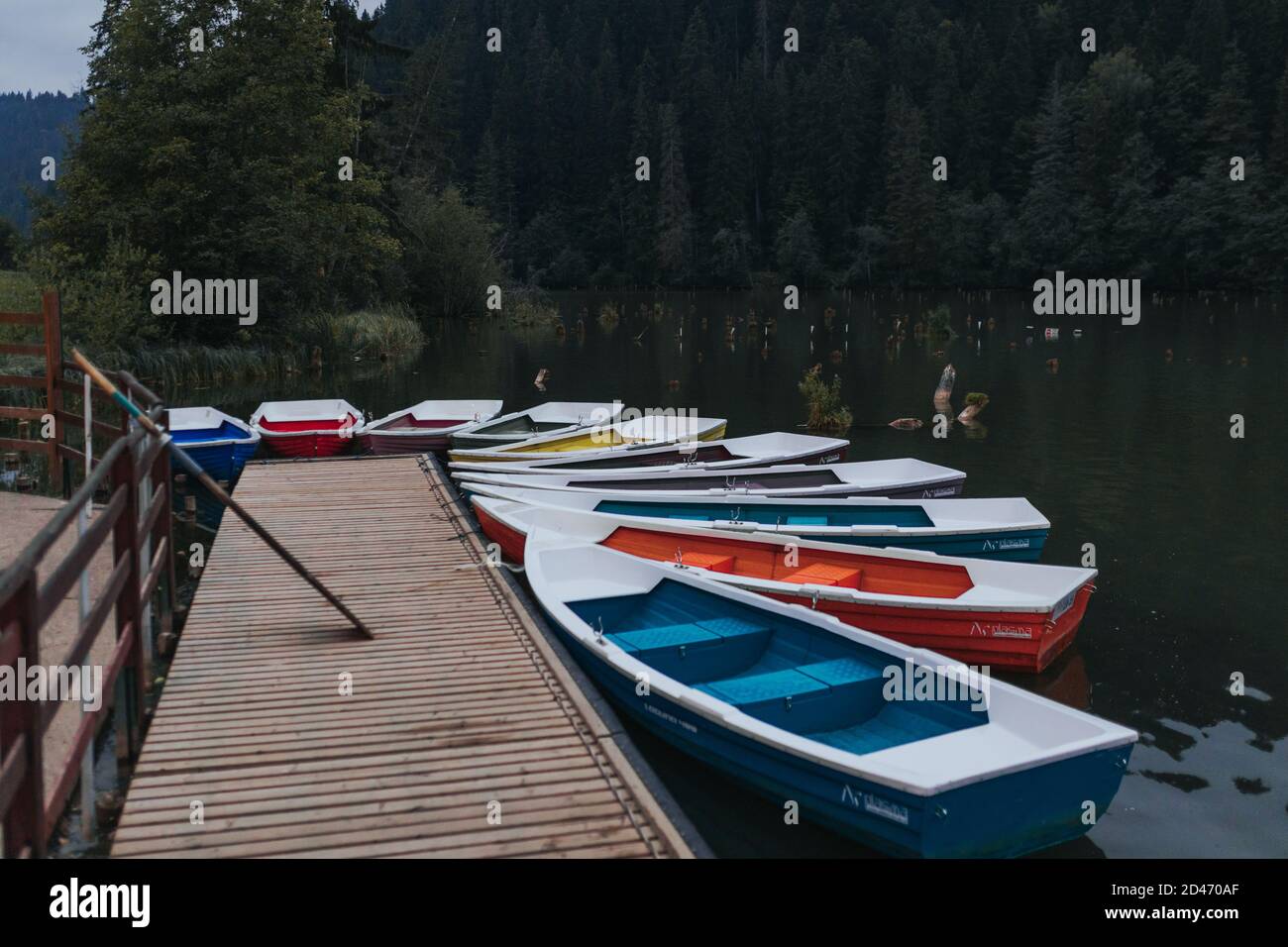 Boats tied to the wooden dock by the lake Stock Photo - Alamy