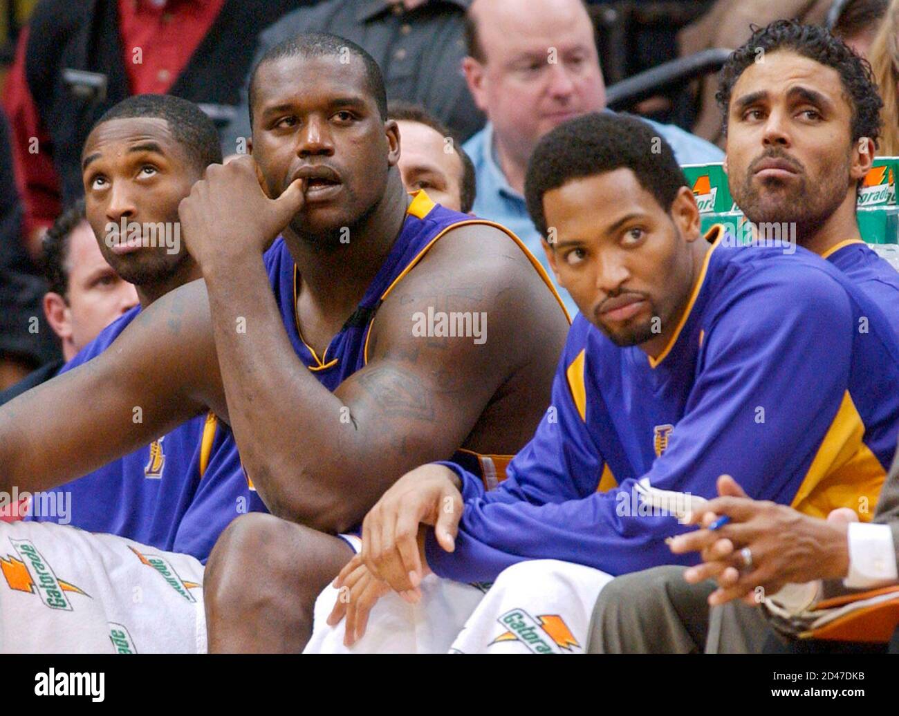 lakers championship warm up jacket