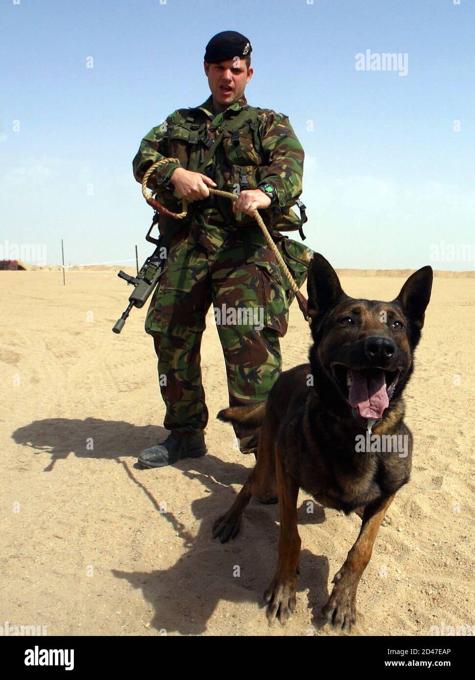 Royal Army Veterinary Corps High Resolution Stock Photography and