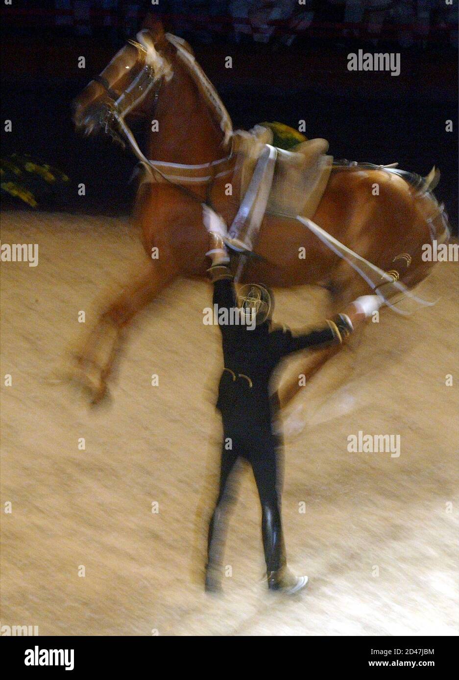 A French thoroughbred jumps as his trainer looks on during the Equestrian  Gala at the Atlantic Pavilion in Lisbon September 18, 2004. Portuguese  Equestrian Art, the Royal Andalusia School of Equestrian Art