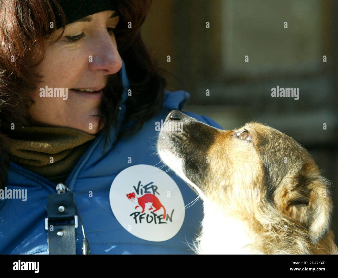 A Romanian worker for the animal rights foundation "Vier Pfoten" holds a  stray dog in Bucharest February 8, 2005. "Vier Pfoten" launched the  programme "Dogs for People" to train Romania's numerous stray