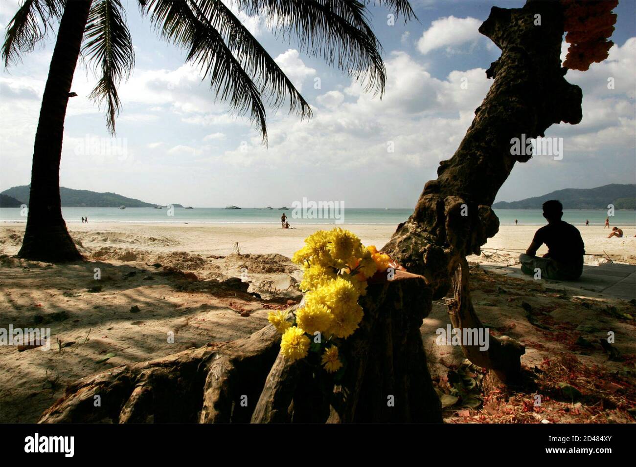 Flower are placed under a tree in Patong beach in Phuket, Thailand for victims of the tsunami January 8, 2005. The death toll in Thailand sprawled to over 5,000 after massive tidal waves, caused by a magnitude 9.0 quake off the northern Indonesian coast on December 26, devastated the southern tourist isles and beaches. Stock Photo