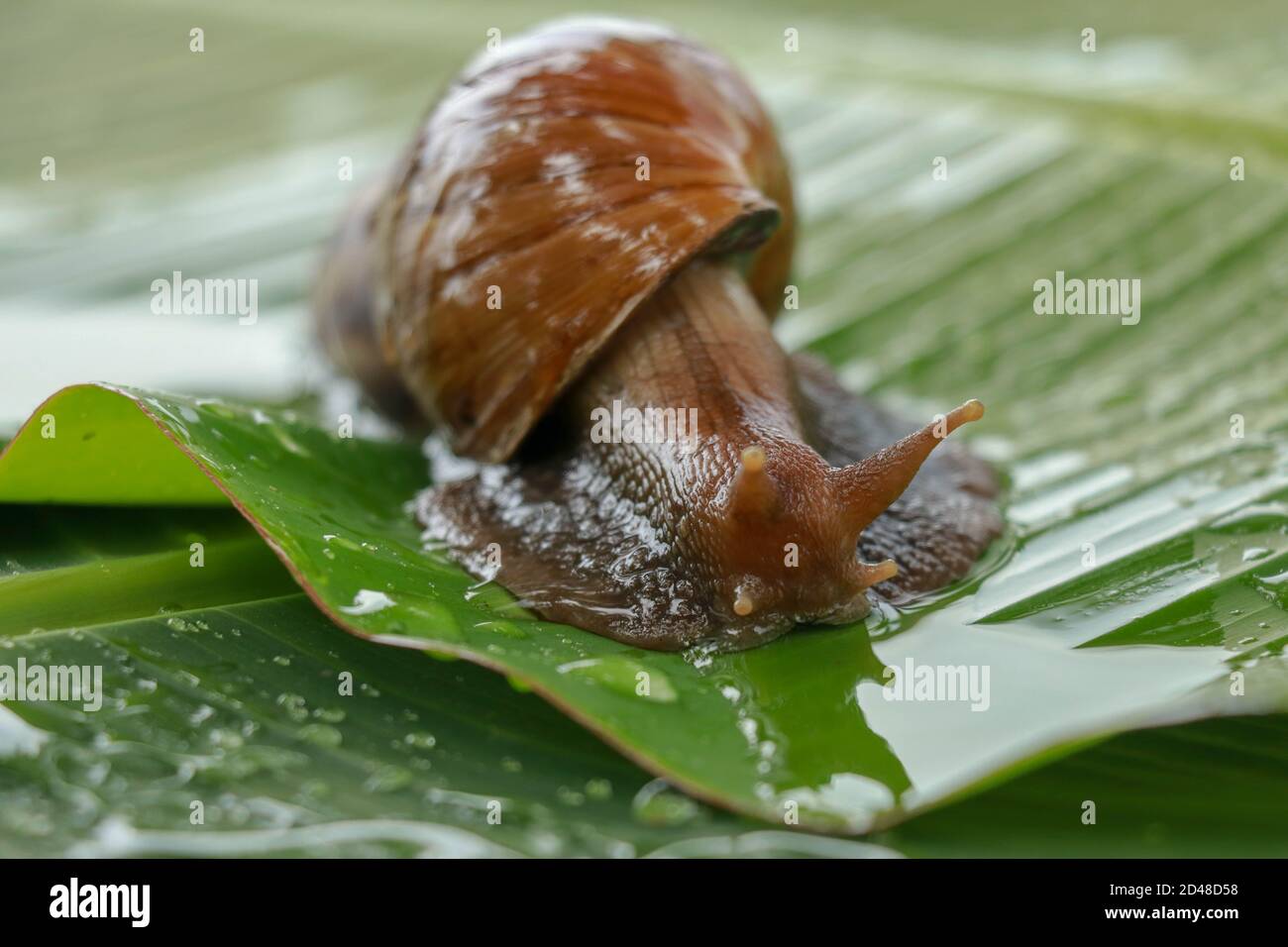 Close up slow motion lens hi-res stock photography and images - Alamy