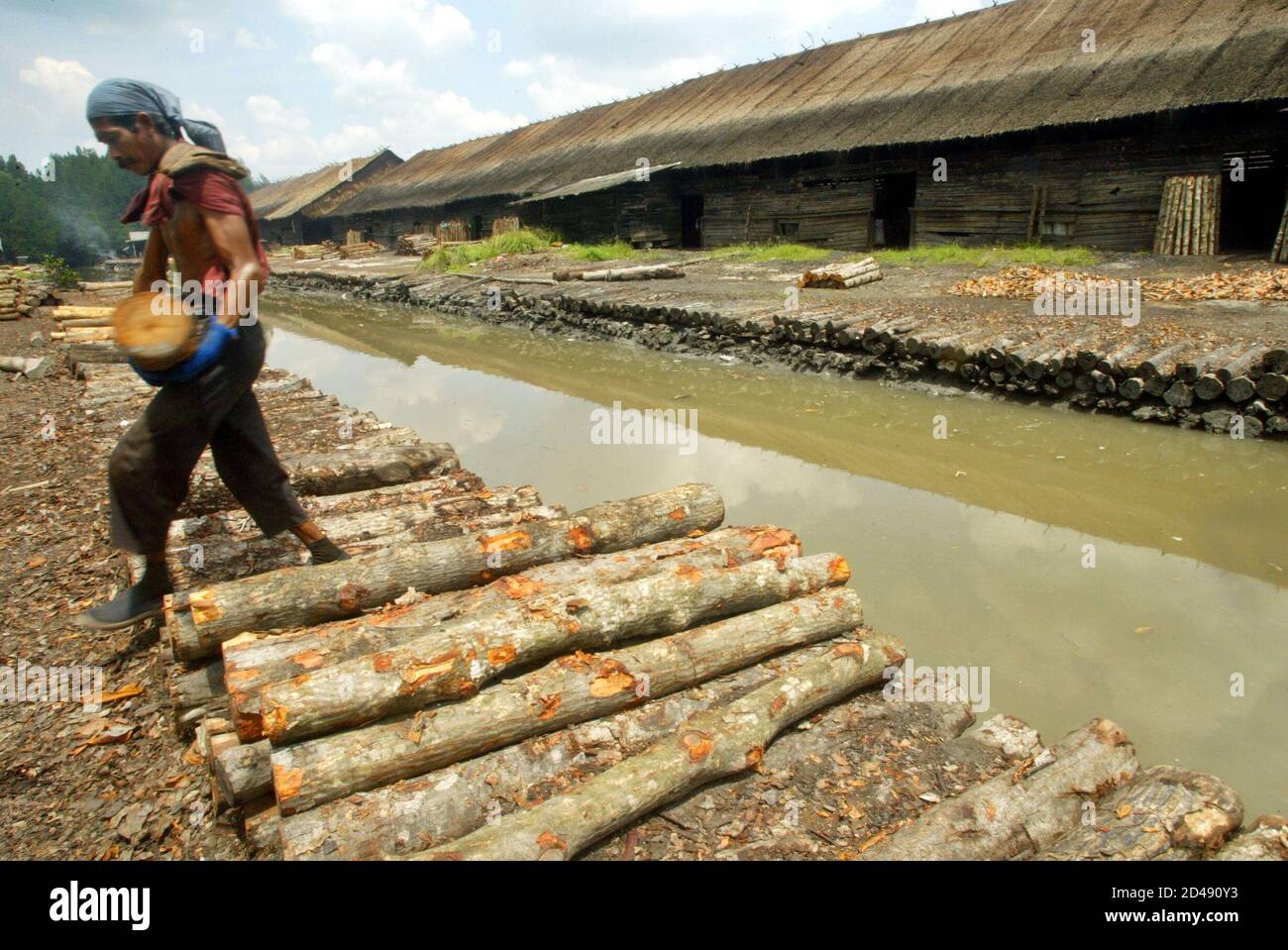 A Malaysian Worker Carries Mangrove Wood Which Will Eventually Be Turned Into Charcoal Kampung Dapur Arang Or Charcoal Kiln Village In Matang In Malaysia S Northern State Of Perak Forty Tons Of Mangrove