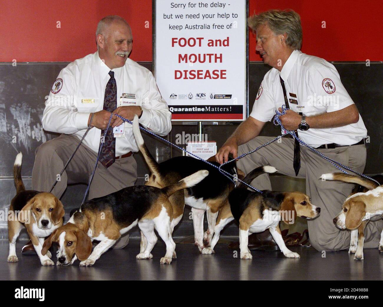 Do Dogs Have To Be Quarantined In Europe