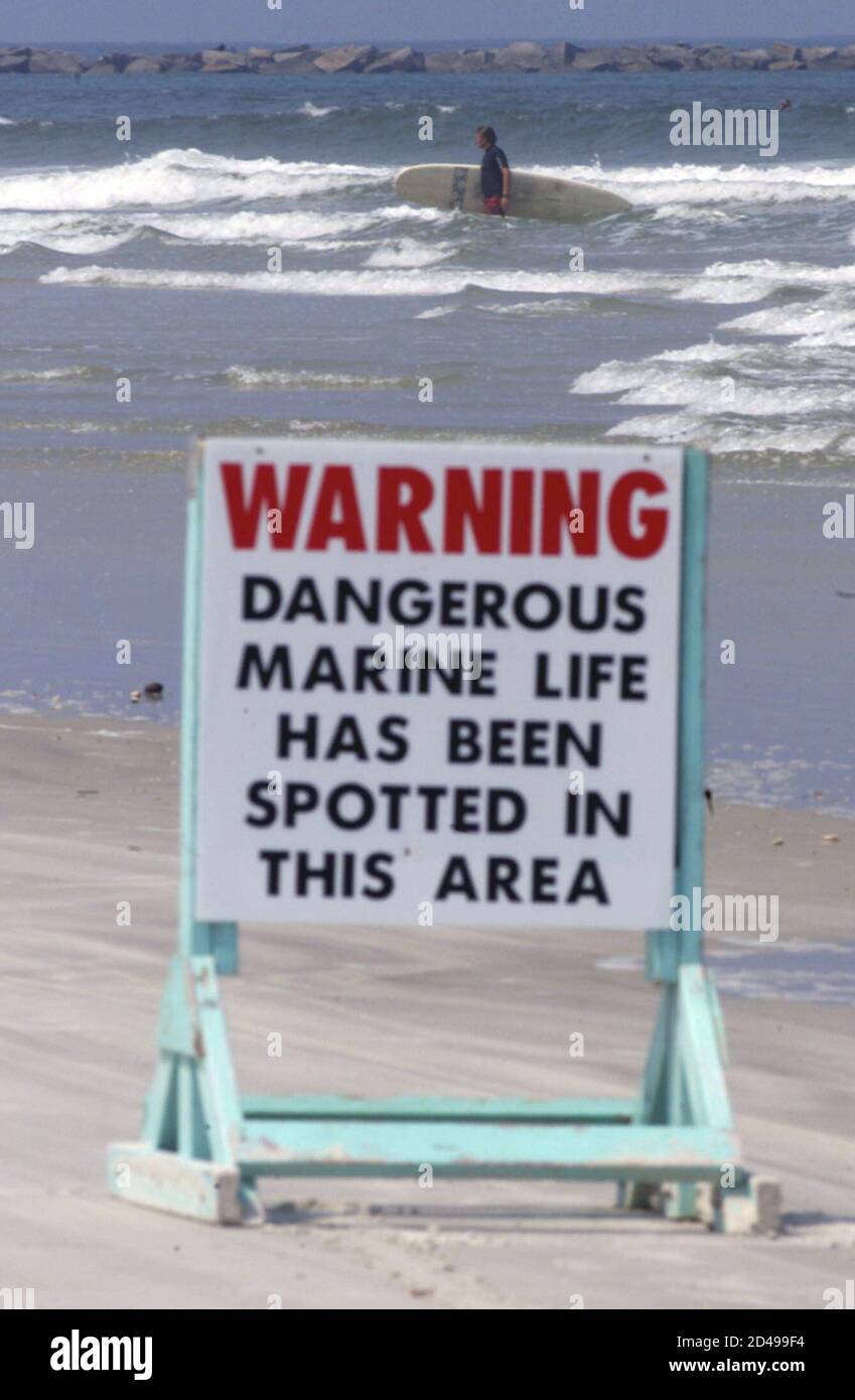 Page 8 New Smyrna Beach High Resolution Stock Photography And Images Alamy Page 8 New Smyrna Beach High Resolution Stock Photography And Images Alamy