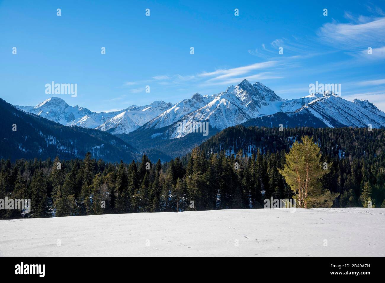 Beautiful winter landscape. Arkhyz, Karachay-Cherkessia Stock Photo