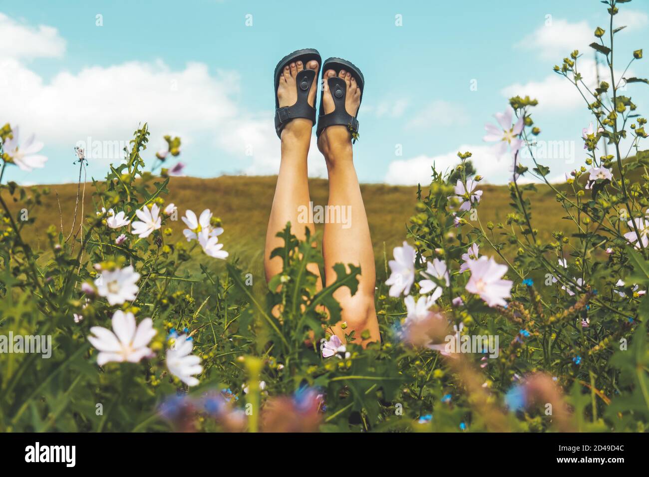 beautiful legs of a girl raised up from a meadow of flowers Stock Photo