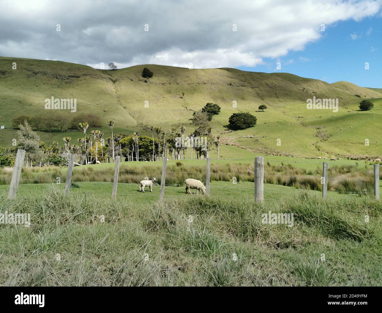 Hill farming country hi-res stock photography and images - Alamy