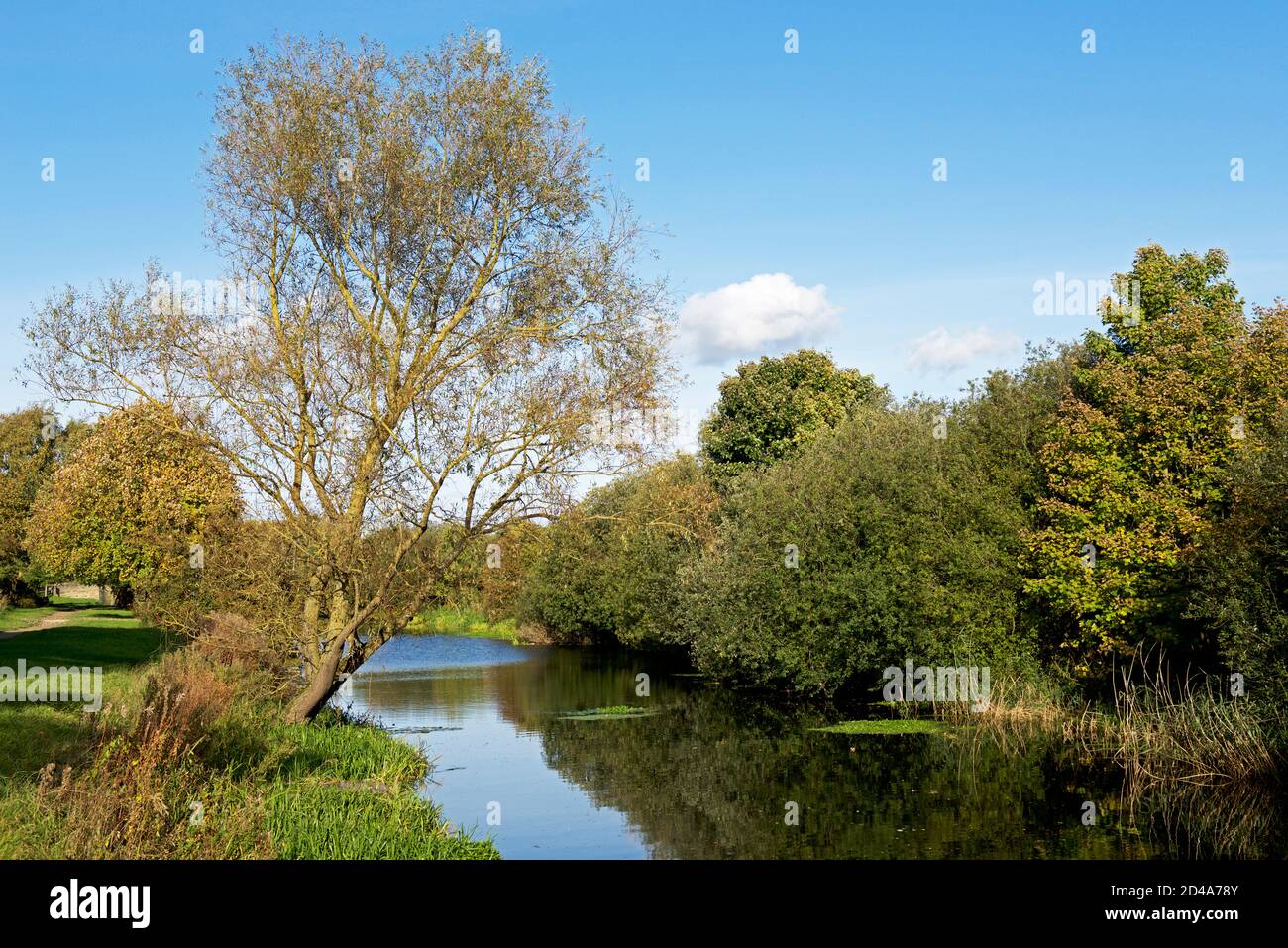 The Selby Canal near Brayton, North Yorkshire, England UK Stock Photo