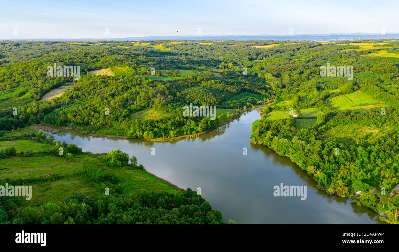 Aerial treetop tree trees canopy hi-res stock photography and images ...