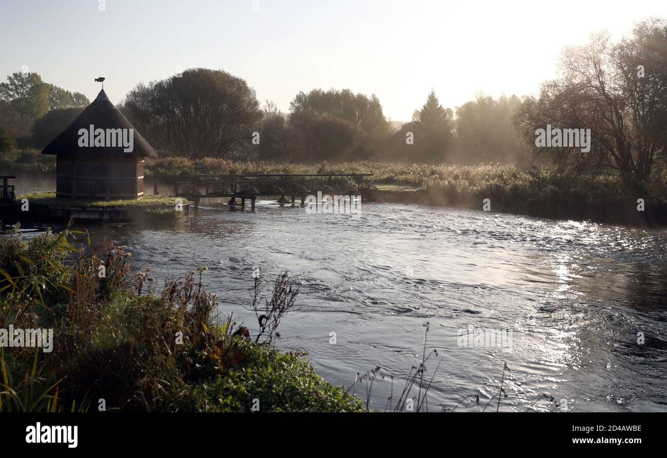 A light mist rises from the River Test near to Stockbridge in Hampshire. Stock Photo