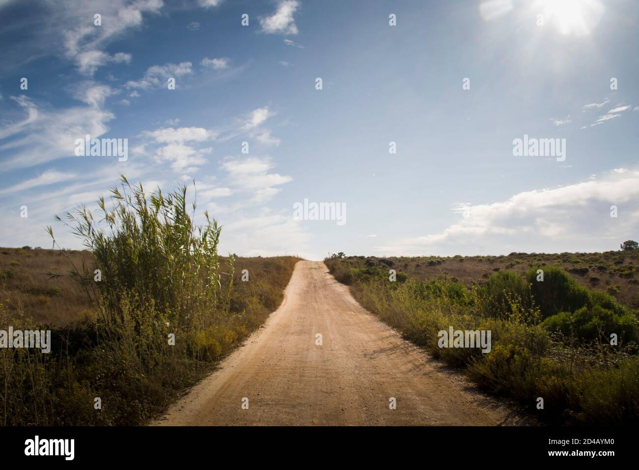 A dust road extends until the horizon line, in the middle of grass fields in a countryside landscape, under blue sky Stock Photo