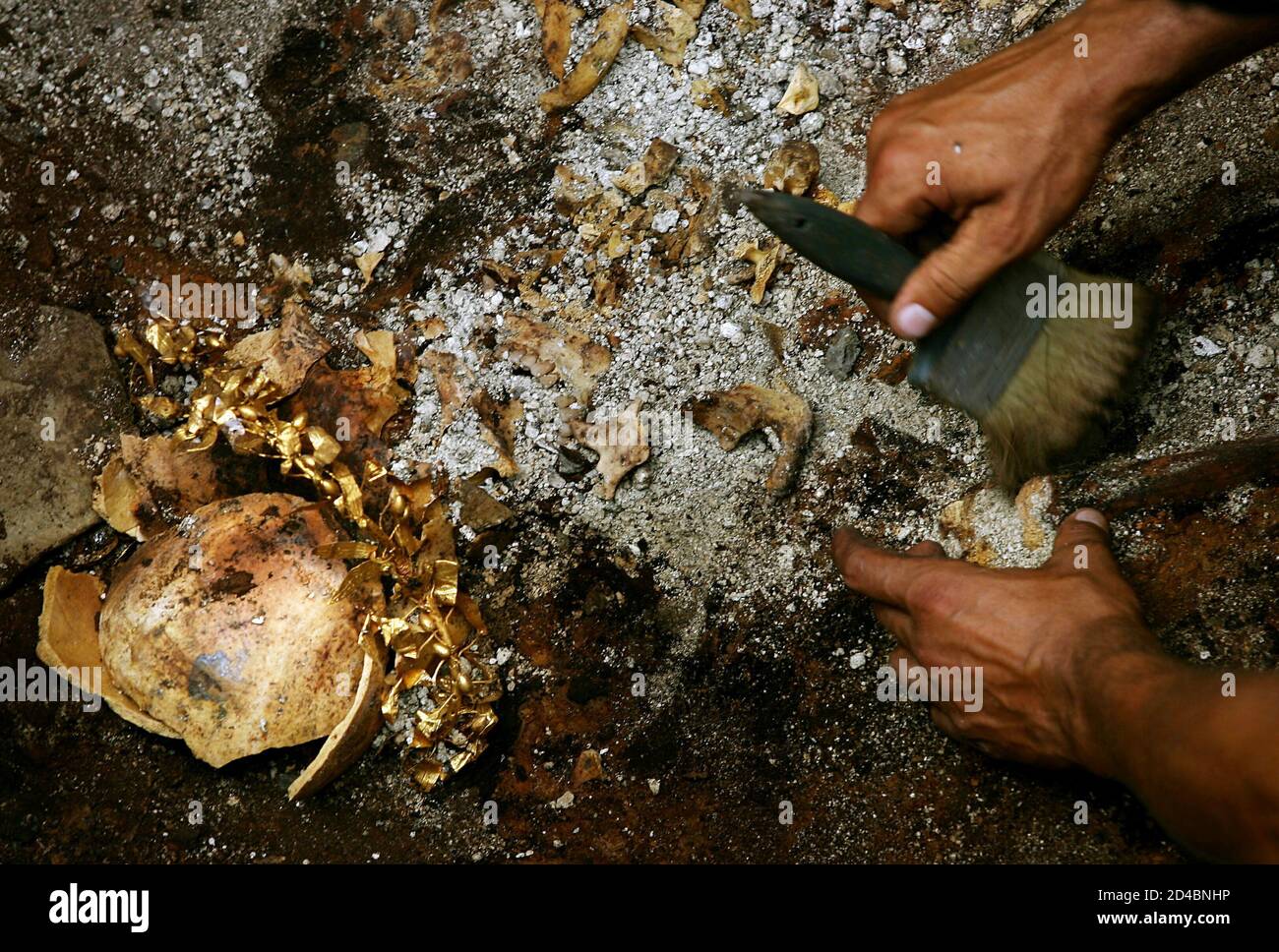 under armour bulgaria