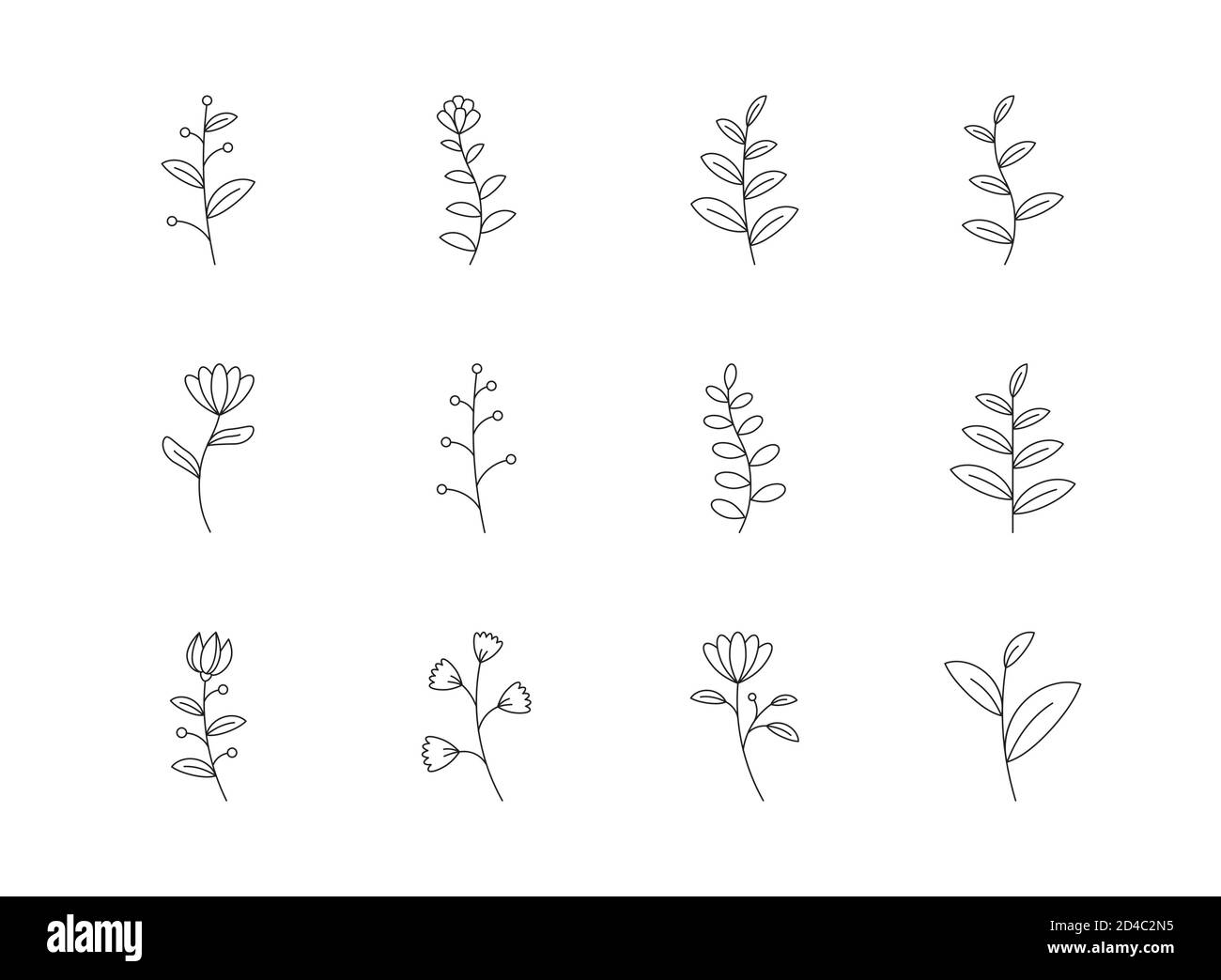 Floral And Flower Icon Set Outline Style. Symbols For Website, Print 