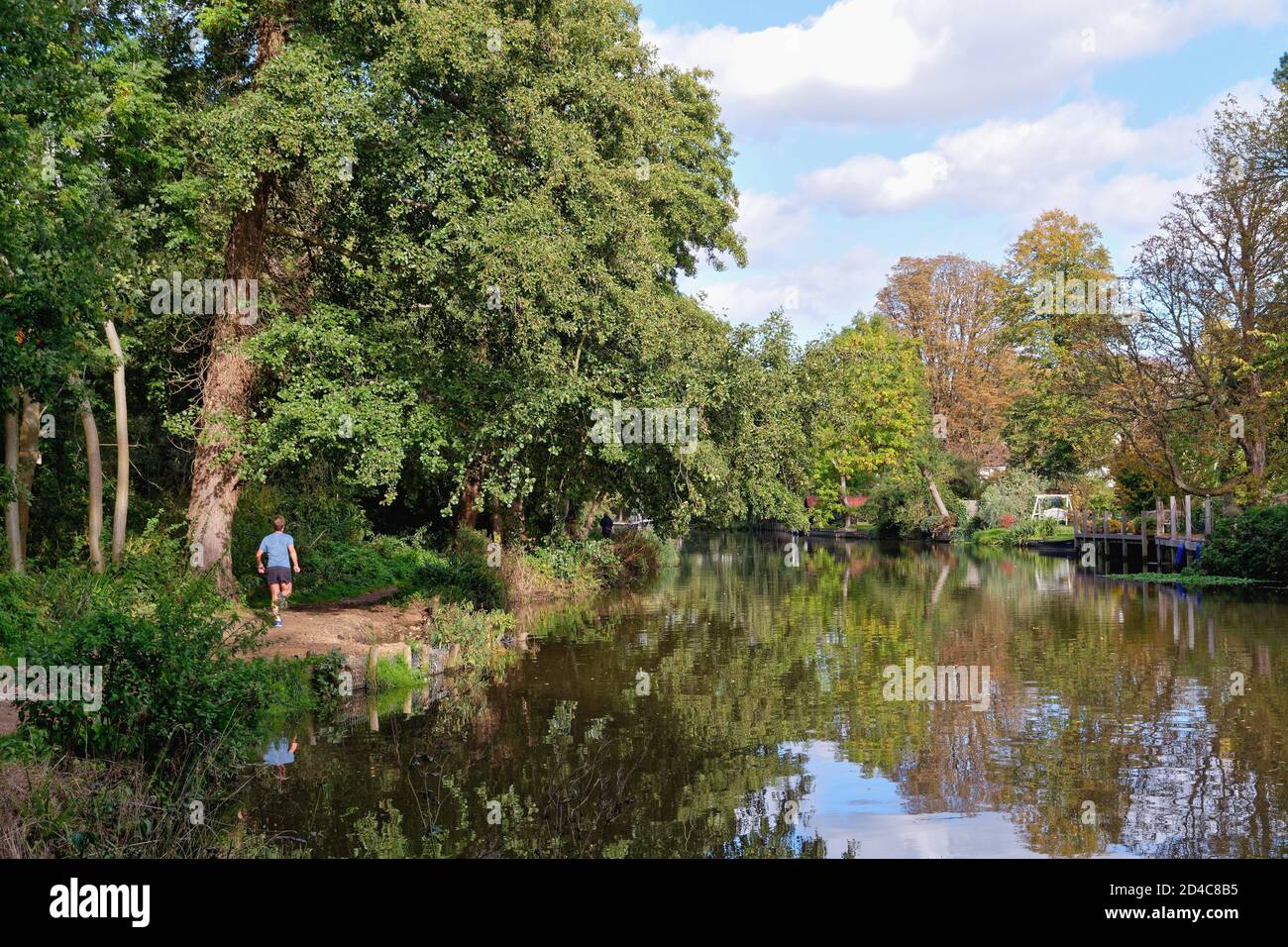 Middle aged man running on the towpath by the River Wey Navigation canal at Weybridge Surrey England UK Stock Photo