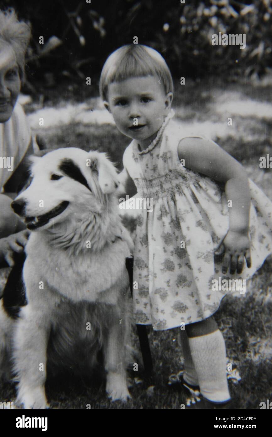 Fine 1970s vintage black and white photography of a little girl in a pageboy haircut playing with a huge dog. Stock Photo