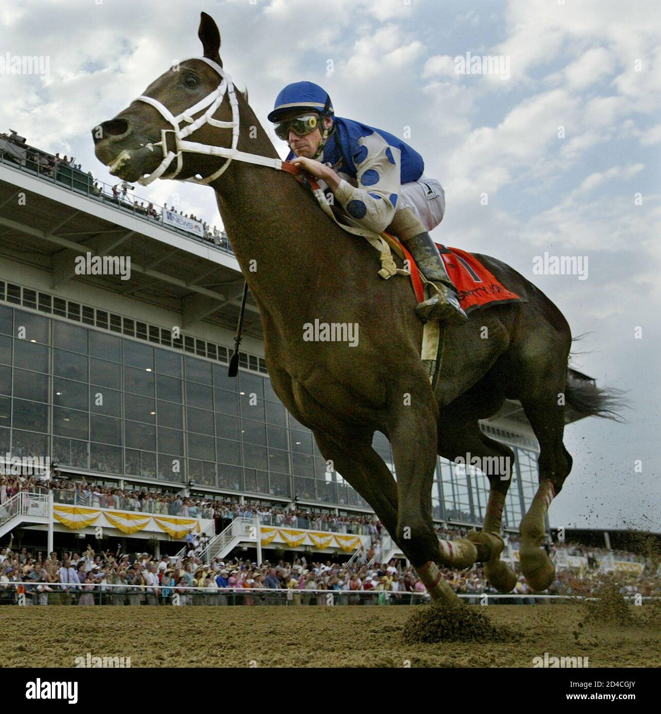 Dollar Bil AP Valentine Point Given 126th Preakness stakes 2001  Monarchos 